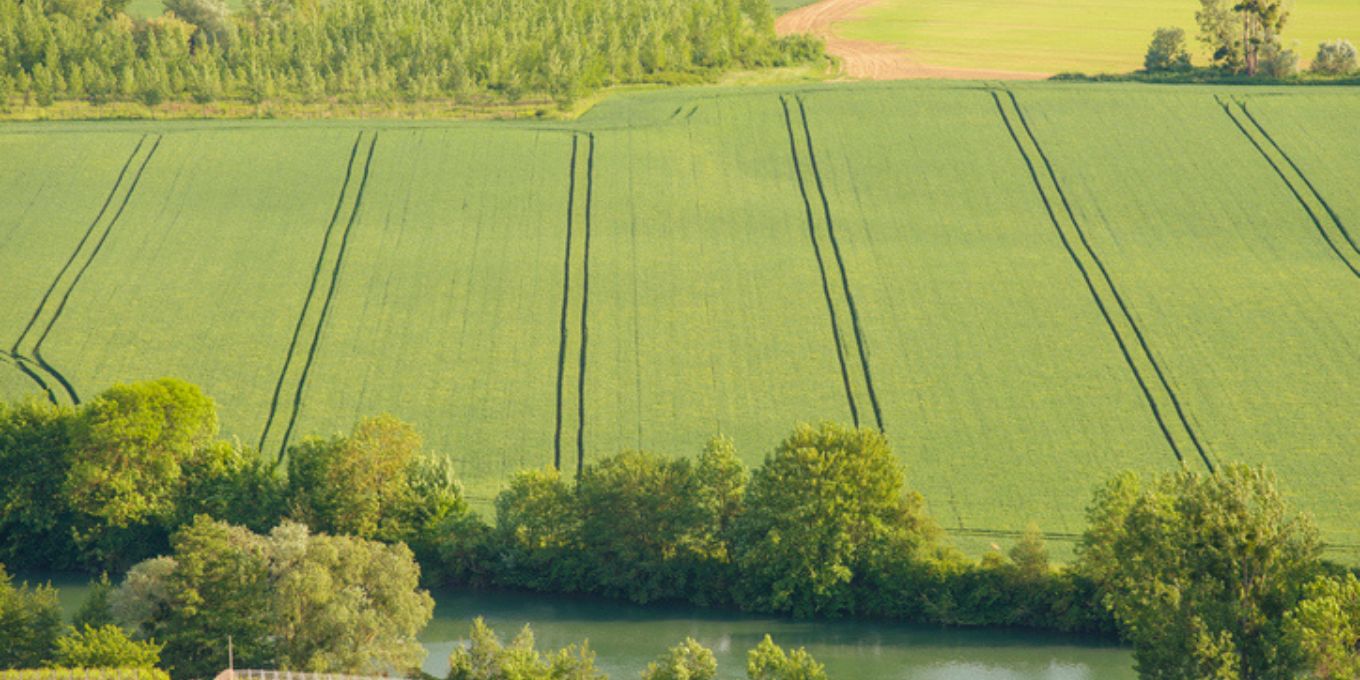 L’Assemblée nationale vote pour une agriculture contre la nature